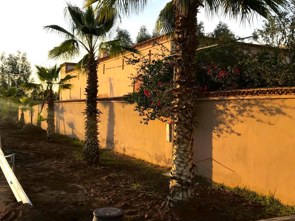 Villa Palais Souad Marrakesh Exterior foto